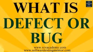 What is a Defect or Bug?