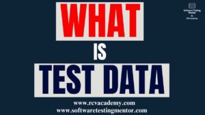 What is Test Data