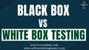 Black Box Testing vs White Box Testing