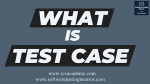 What is a Test Case